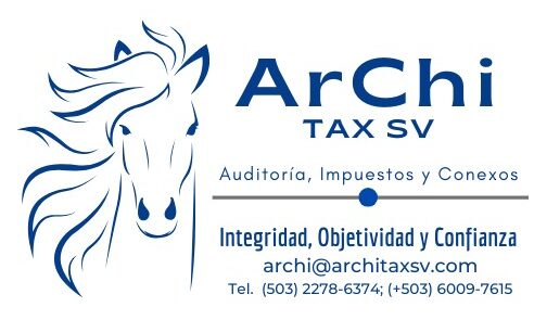 Auditor y Consultor